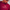 Wine Red MM Drop Shoulder Tee